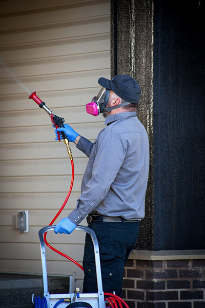 The Pest Control Guy spraying for spiders. Airdrie Pest Control Services