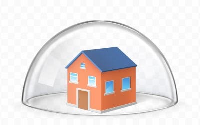 Effective Pest Control in Airdrie: Protecting Your Home and Business