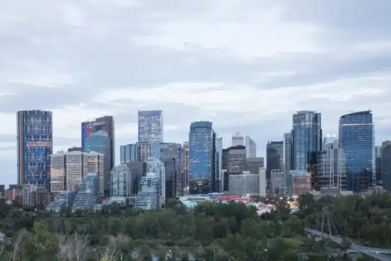 Calgary’s Top Reasons to Choose Professional Pest Control Services