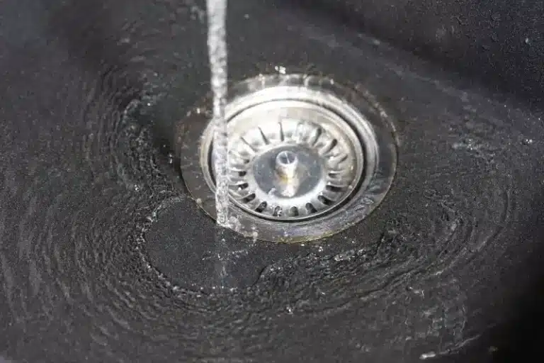 Can Pest Control Get Rid of Drain Flies? Removal Guide