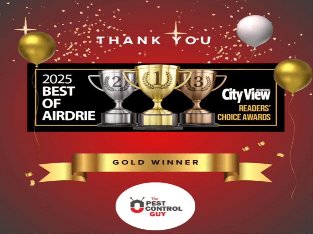 best of Airdrie 2025