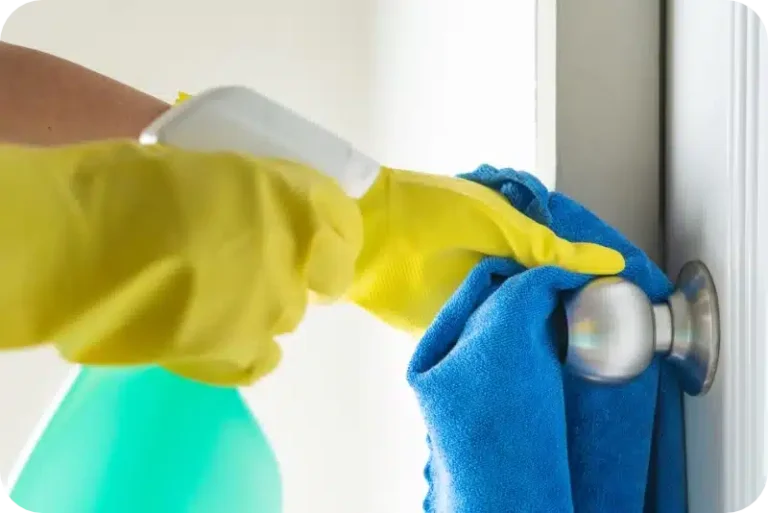 How Soon After Pest Control Can I Clean? Expert Tips