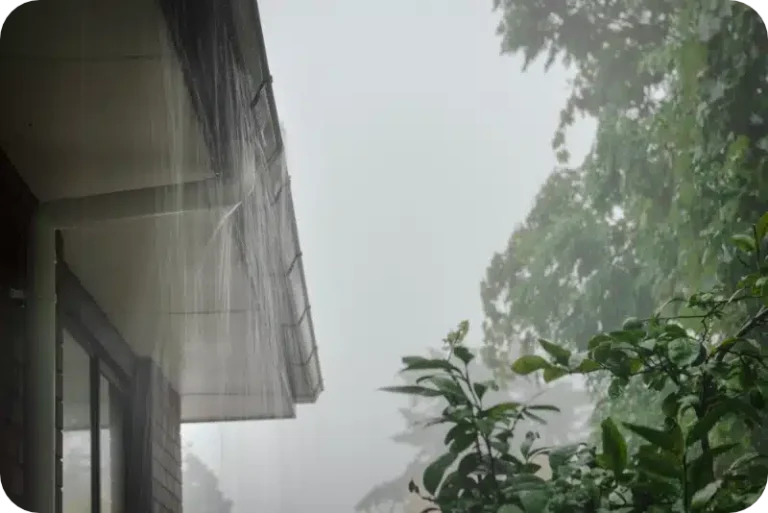 How Weather Conditions Like Rain Affect Pest Control Spraying