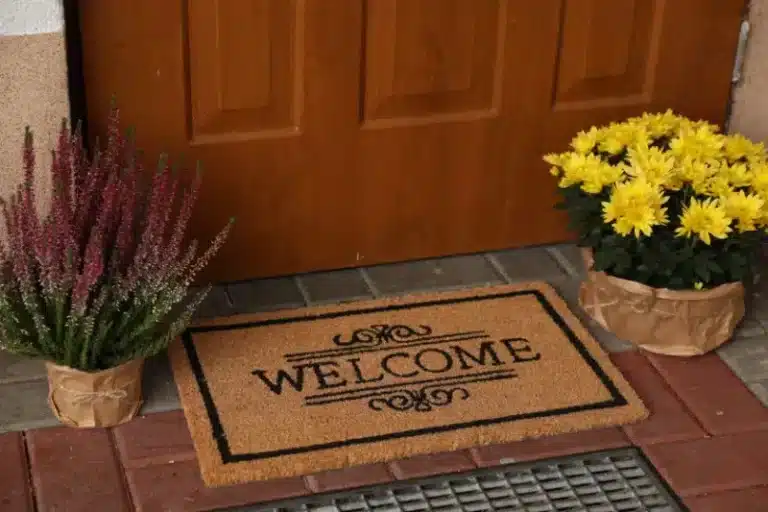Safe Reentry Times After Pest Control Treatments for Homes and Apartments