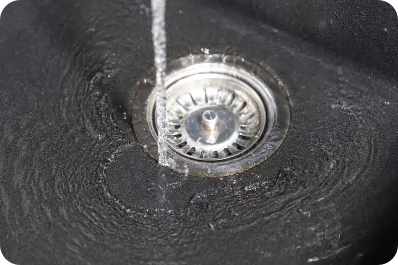 How Pest Control Eliminates Drain Flies in Residential Plumbing Systems 1 Kitchen sink pest control calgary