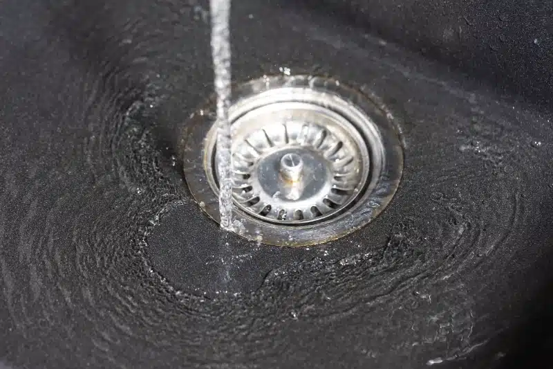 How Pest Control Eliminates Drain Flies in Residential Plumbing Systems