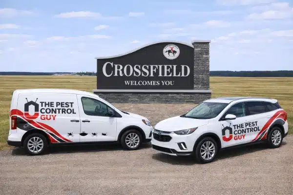 Pest control in Crossfield