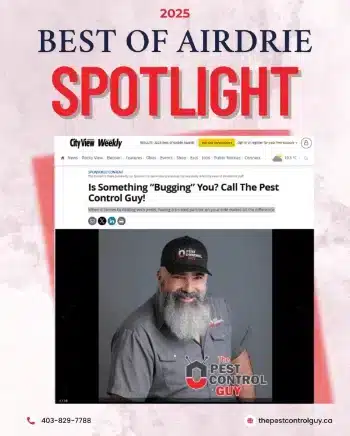 best_of_airdrie_mb