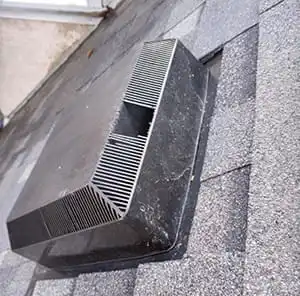 broken-roof-vent-access-bird