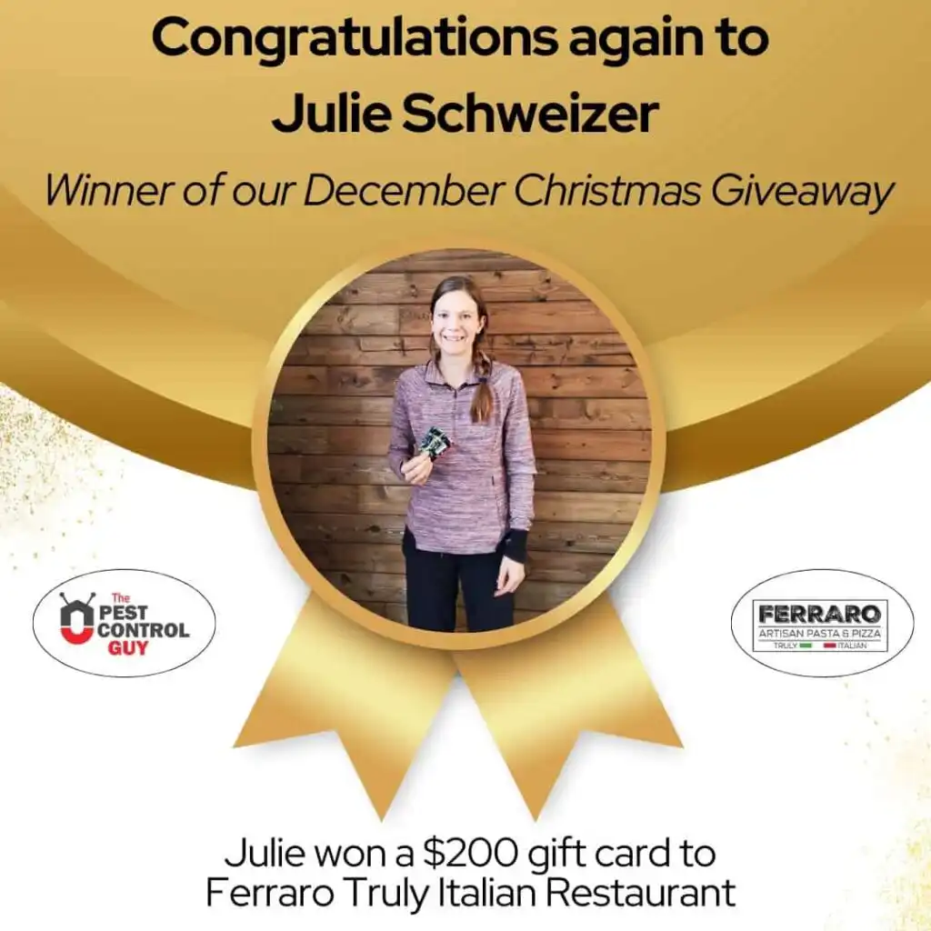 December Giveaway