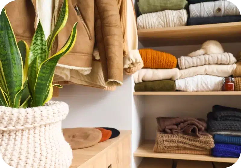 Closets pest control calgary