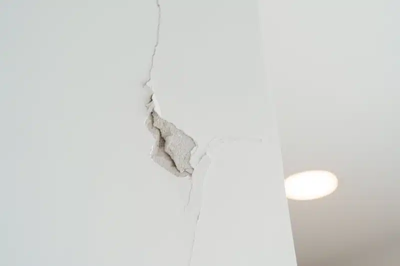 What Types of Pest Damage Are Typically Covered by Standard Home Insurance 4 Covered damage pest control calgary