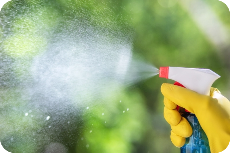 Drawbacks risks with chemical methods pest control calgary
