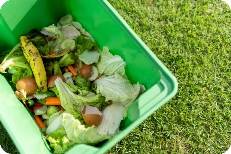 How Pest Control Services Handle Maggot Infestations and Prevent Their Return 1 Exterminate maggots pest control calgary