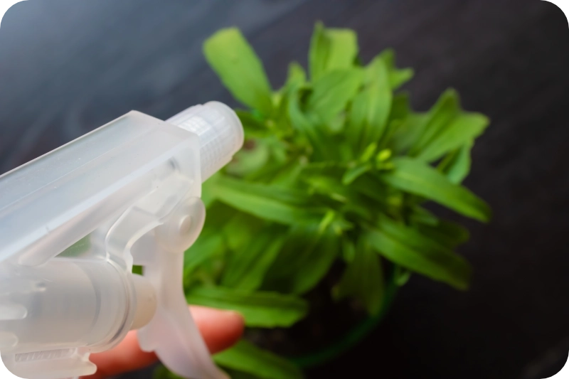 How sprays affect indoor plants pest control calgary