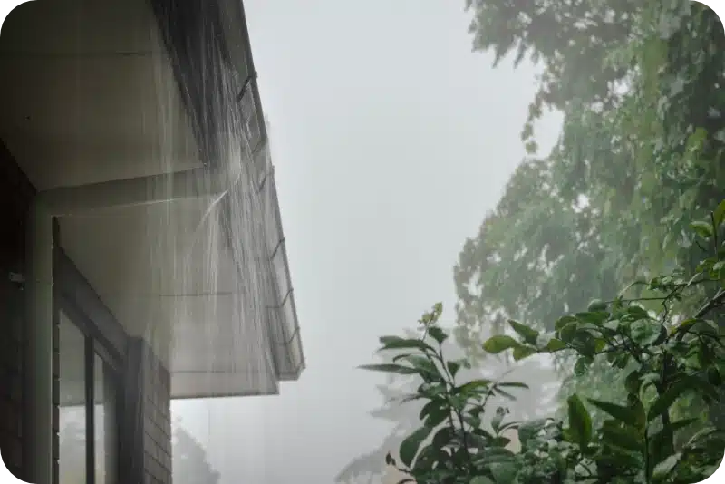 How Weather Conditions Like Rain Affect Pest Control Spraying