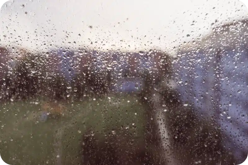 Pest Control Treatments In The House In The Rain Calgary 1