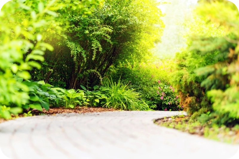 Protecting your calgary landscape pest control calgary
