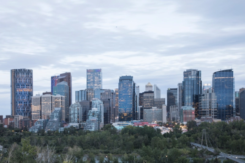.Calgary’s Top Reasons to Choose Professional Pest Control Services
