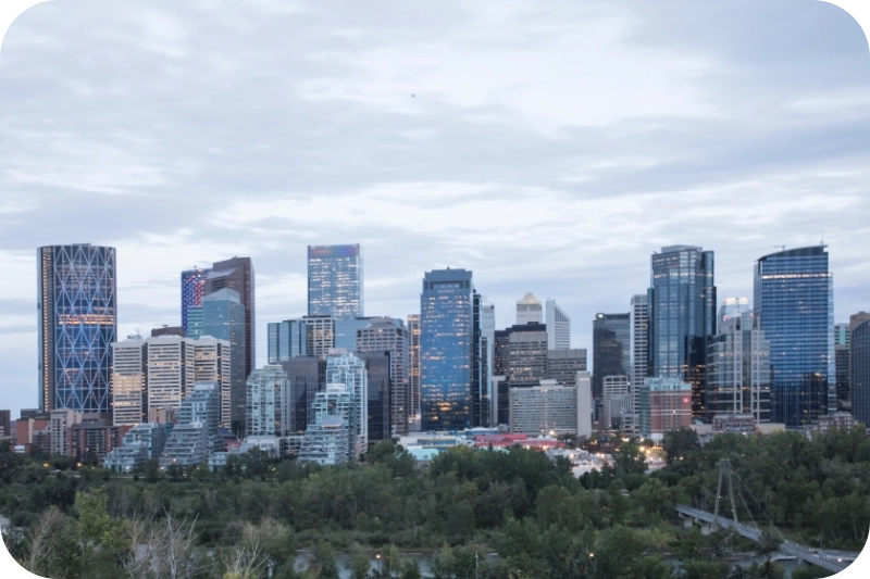Top reasons to choose professional services pest control calgary
