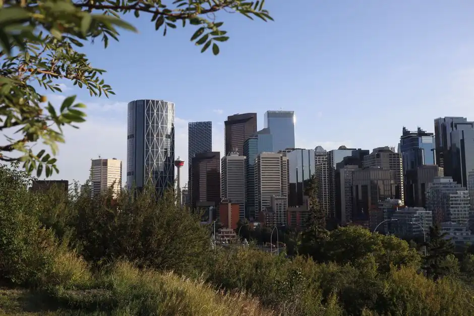 Calgary Pest Control – Fast, Local, and Prevention-Focused 5 featured 9623137 1