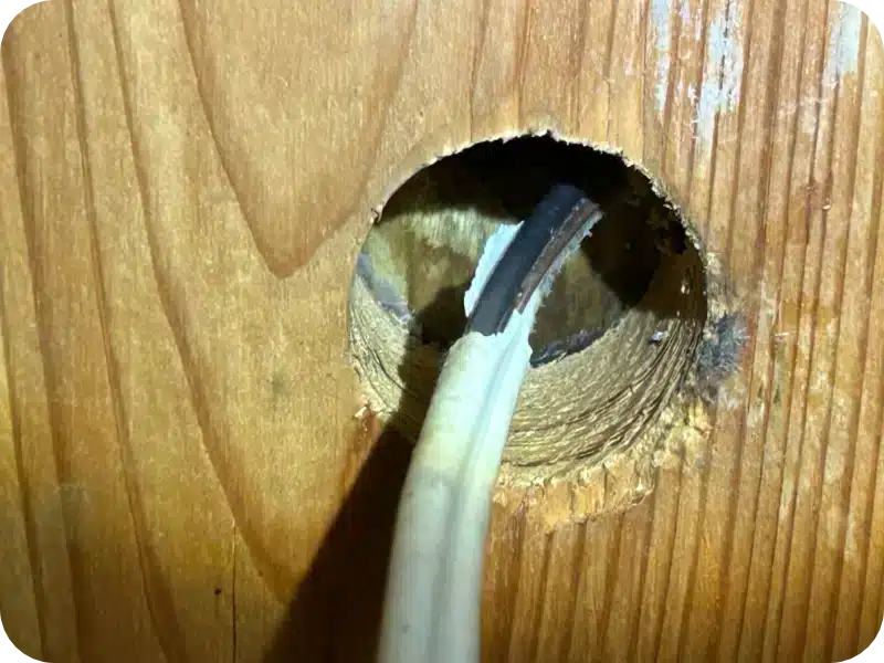 Sealing mouse entry points on a Crossfield home